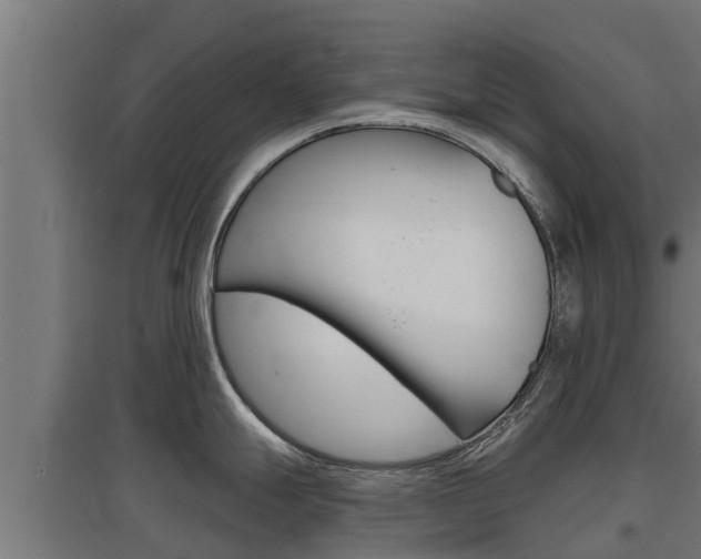 X0000097671247200802290938