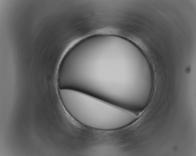 X0000097671248200802290938