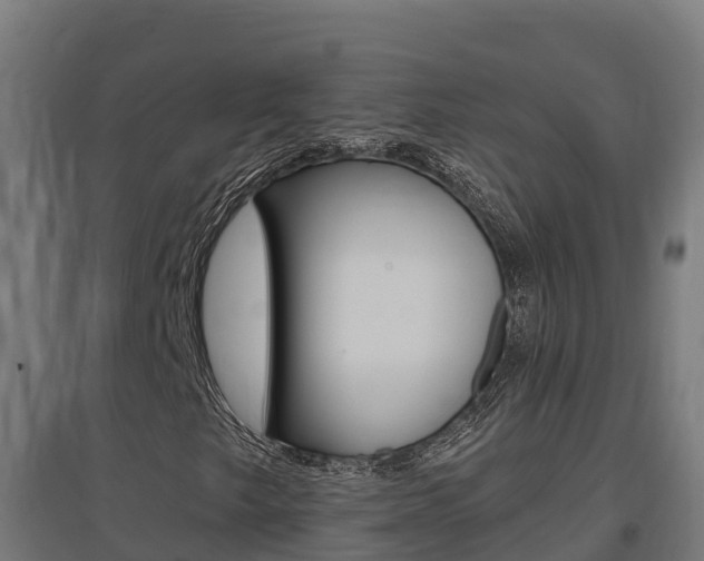 X0000097671249200802290937