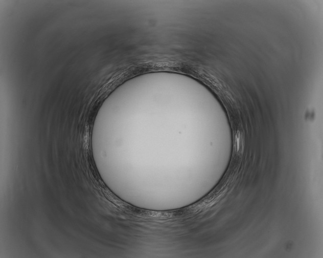 X0000097671251200802290937