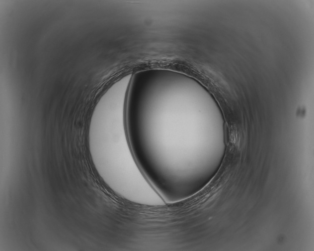 X0000097671252200802290937