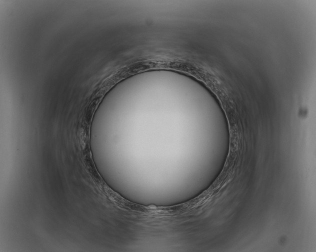 X0000097671253200802290937