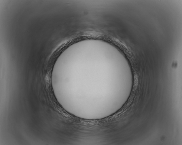 X0000097671254200802290937