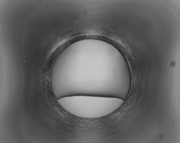 X0000097671255200802290937