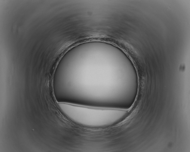 X0000097671257200802290937
