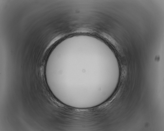 X0000097671258200802290937