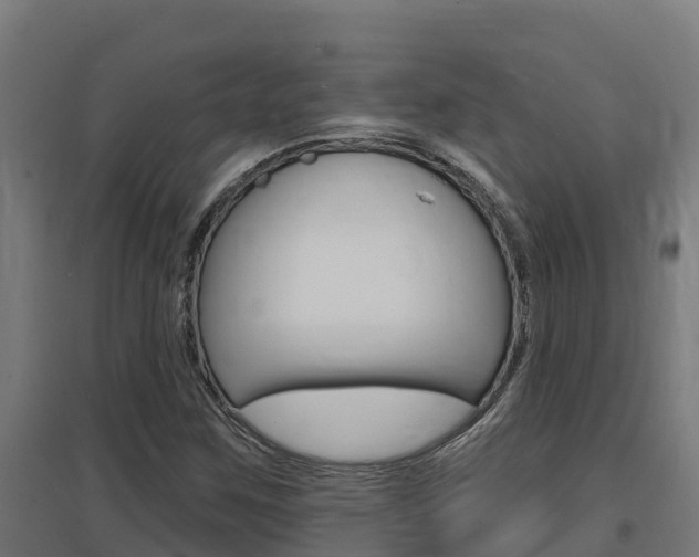 X0000097671259200802290937