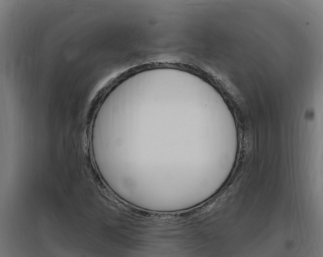 X0000097671262200802290937
