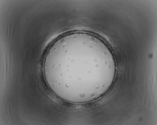 X0000097671263200802290937
