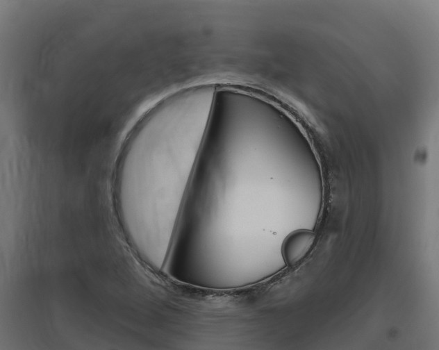 X0000097671264200802290937