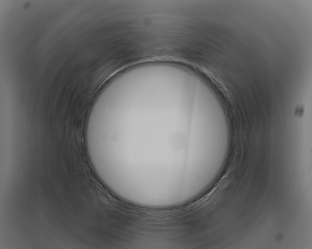 X0000097671265200802290937