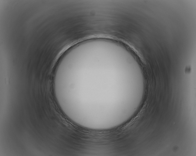 X0000097671266200802290937