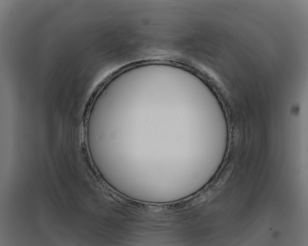 X0000097671267200802290937