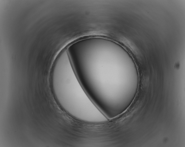 X0000097671268200802290937