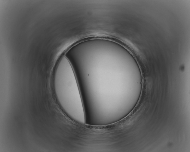 X0000097671269200802290937