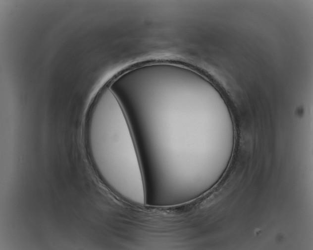 X0000097671270200802290937