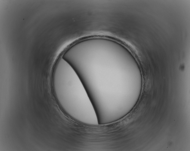 X0000097671271200802290937