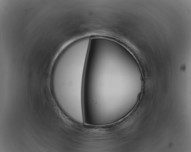 X0000097671272200802290937