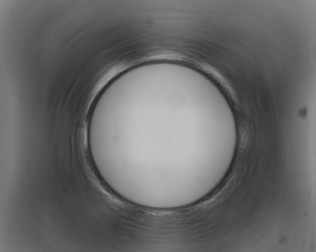 X0000097671274200802290937