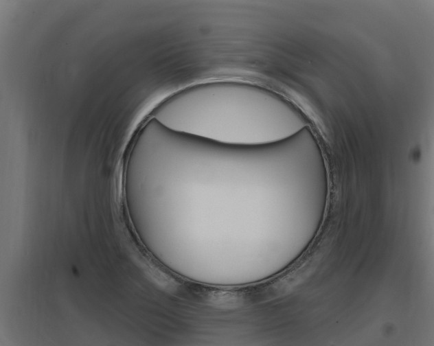 X0000097671275200802290937