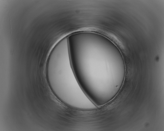 X0000097671276200802290937