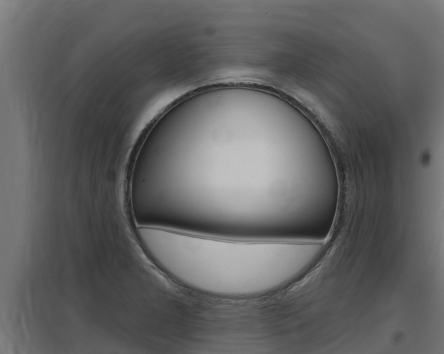 X0000097671277200802290937