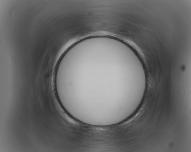 X0000097671278200802290937