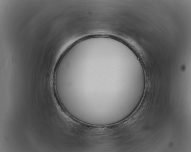 X0000097671279200802290937