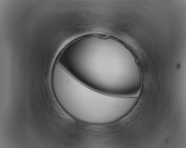 X0000097671280200802290937