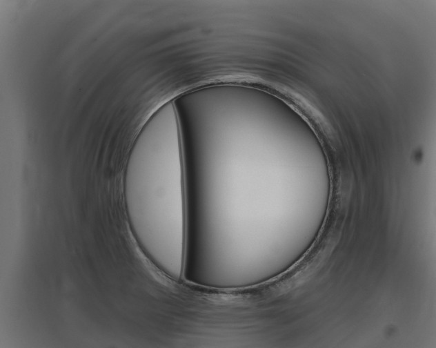 X0000097671281200802290937