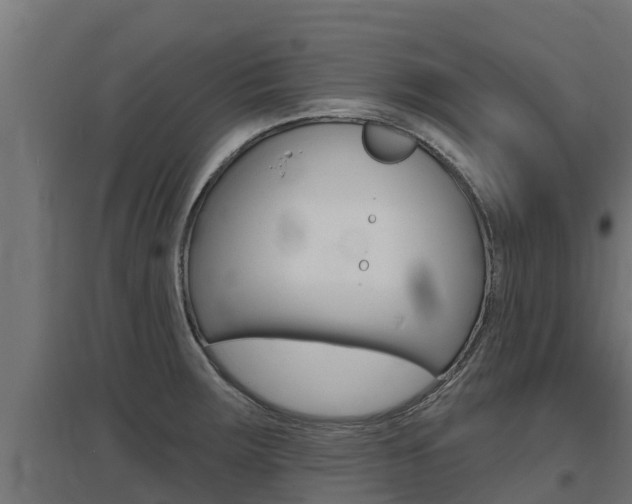 X0000097671283200802290937