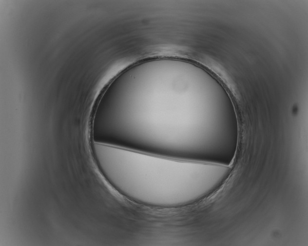 X0000097671285200802290937