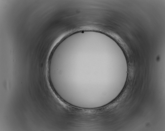X0000097671286200802290937