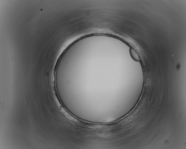 X0000097671287200802290936