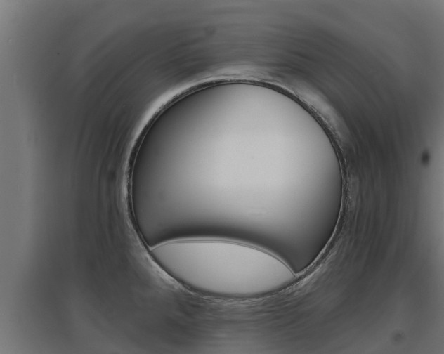 X0000097671288200802290936