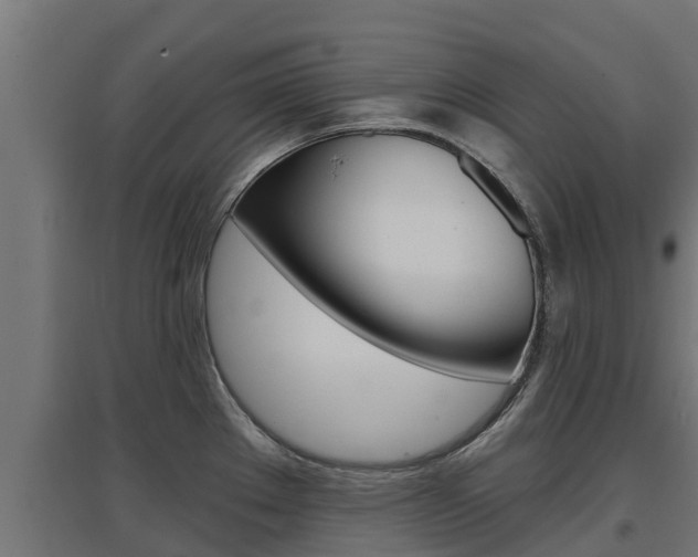 X0000097671289200802290936
