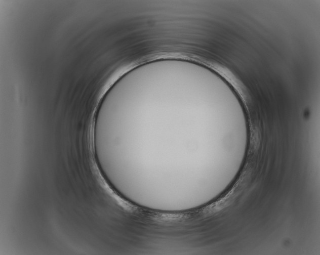 X0000097671290200802290936