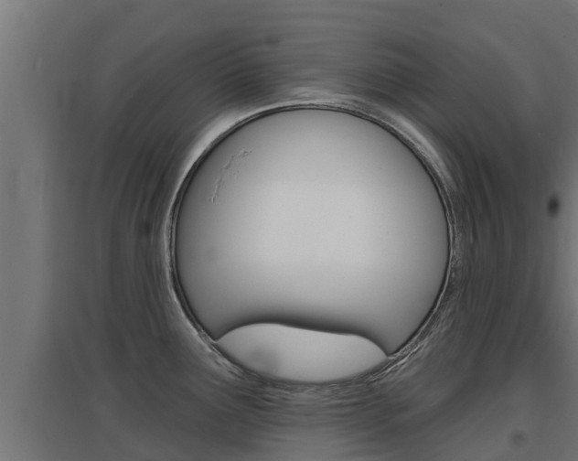 X0000097671291200802290936