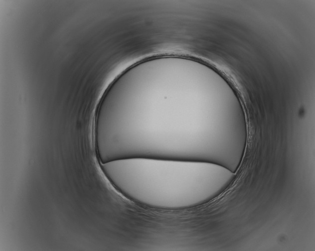 X0000097671295200802290936