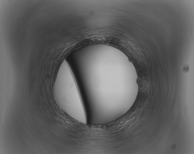 X0000097671297200802290936
