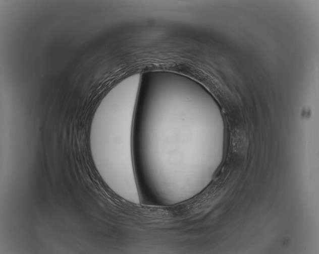 X0000097671298200802290936