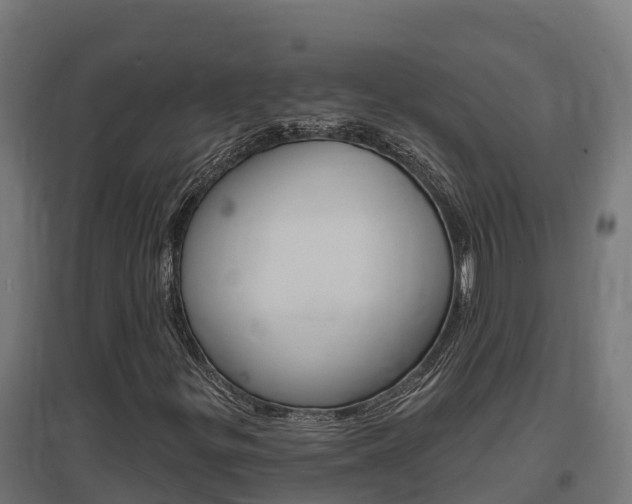 X0000097671299200802290936