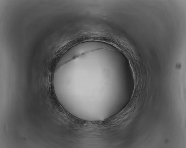 X0000097671301200802290936