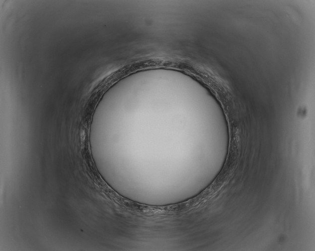 X0000097671302200802290936