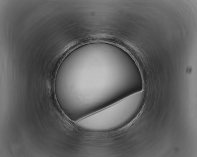 X0000097671305200802290936