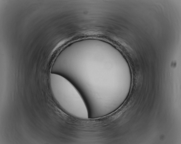 X0000097671306200802290936