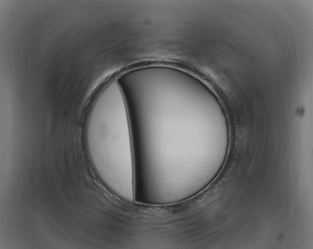 X0000097671307200802290936