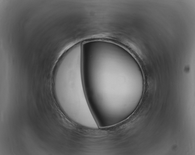 X0000097671308200802290936