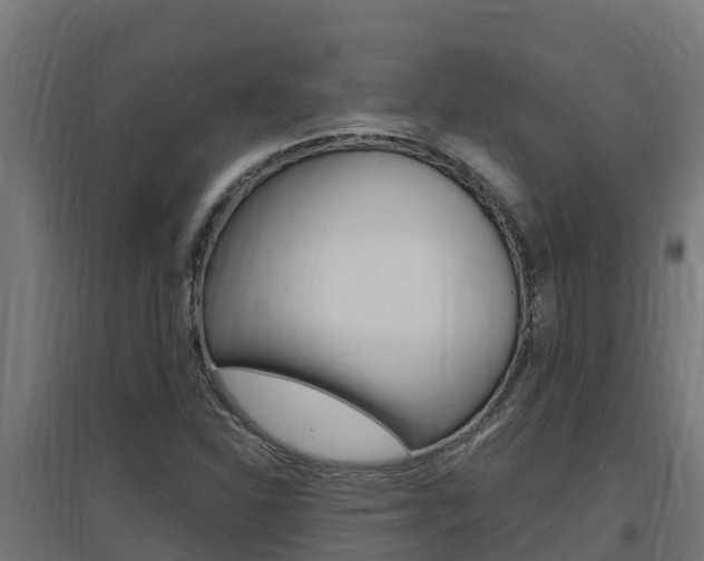 X0000097671310200802290936