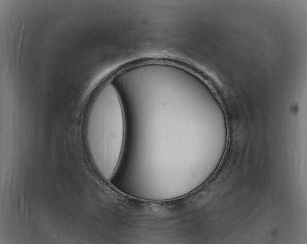 X0000097671311200802290936